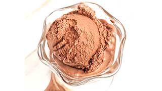 Gourmia Chocolate Ice Cream Recipe